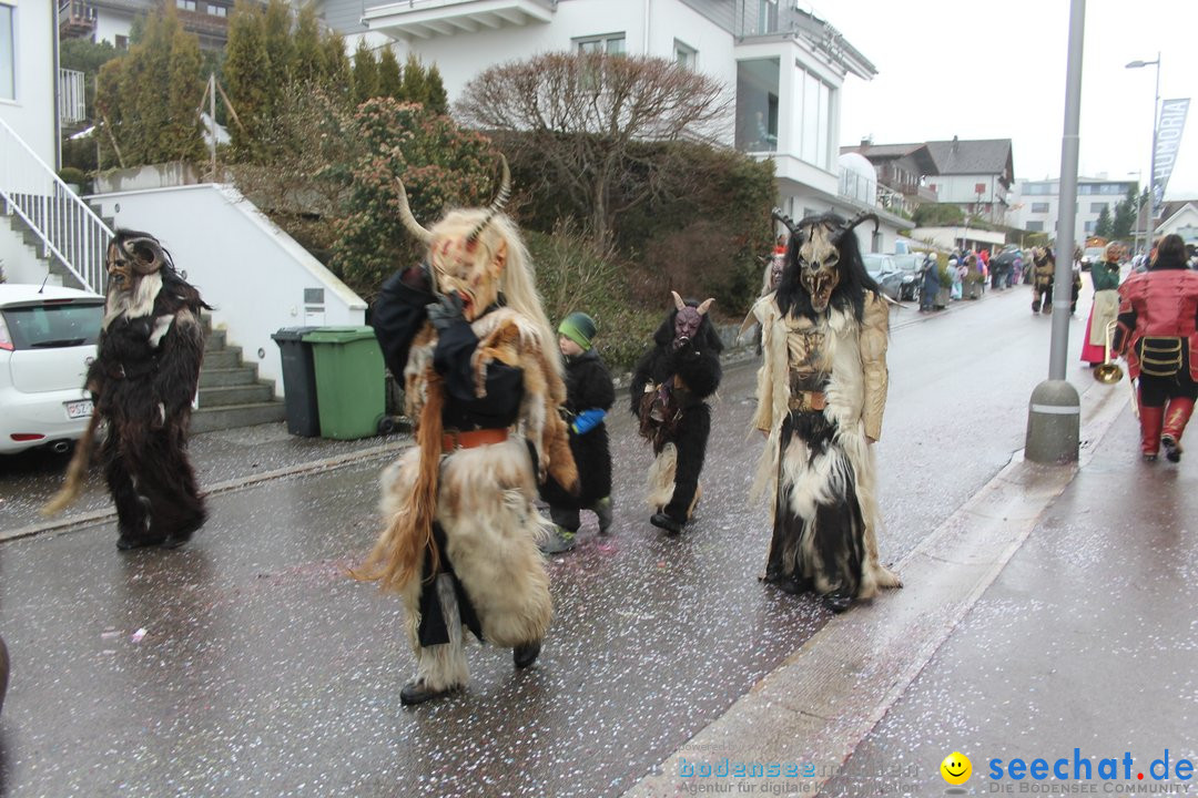 Bezirksumzug - Feusisberg - Schweiz, 02.02.2020