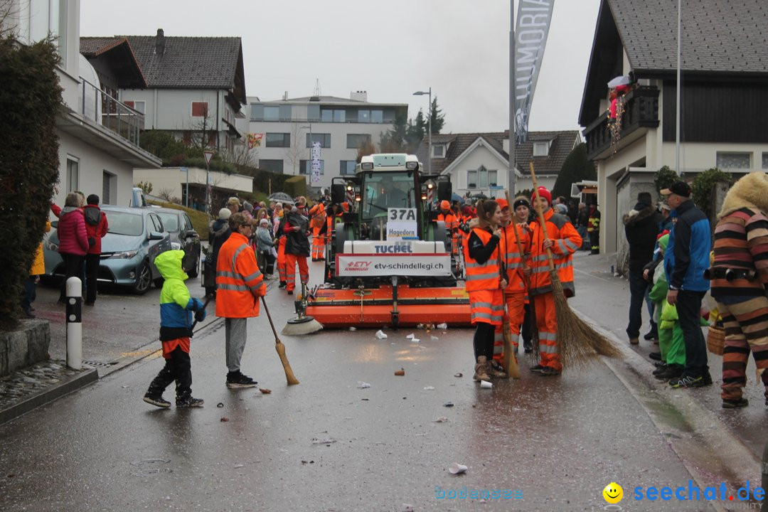 Bezirksumzug - Feusisberg - Schweiz, 02.02.2020