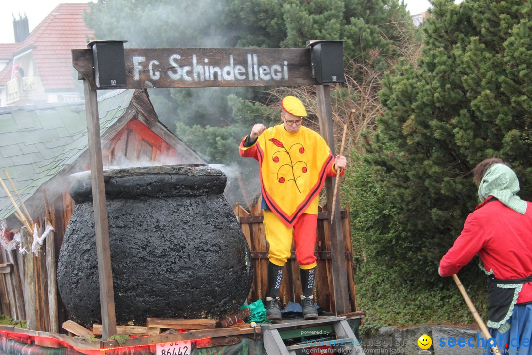 Bezirksumzug - Feusisberg - Schweiz, 02.02.2020