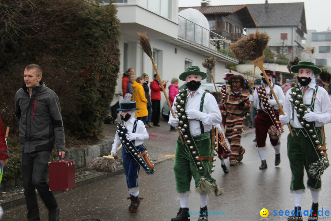 Bezirksumzug - Feusisberg - Schweiz, 02.02.2020