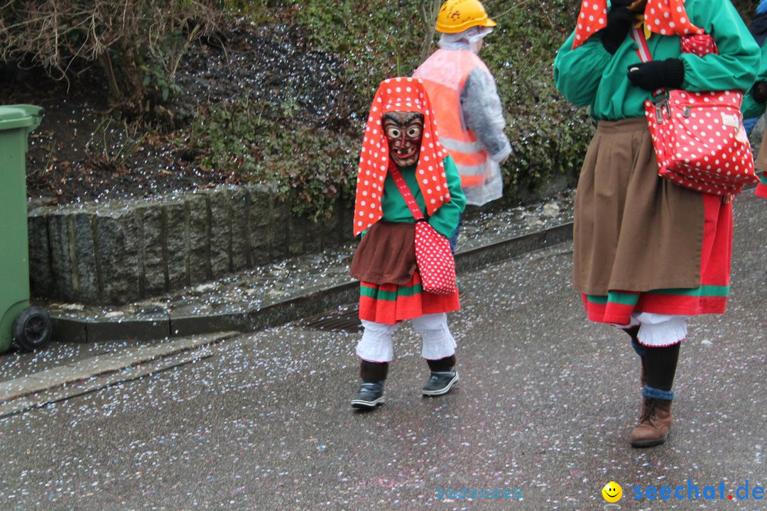 Bezirksumzug - Feusisberg - Schweiz, 02.02.2020