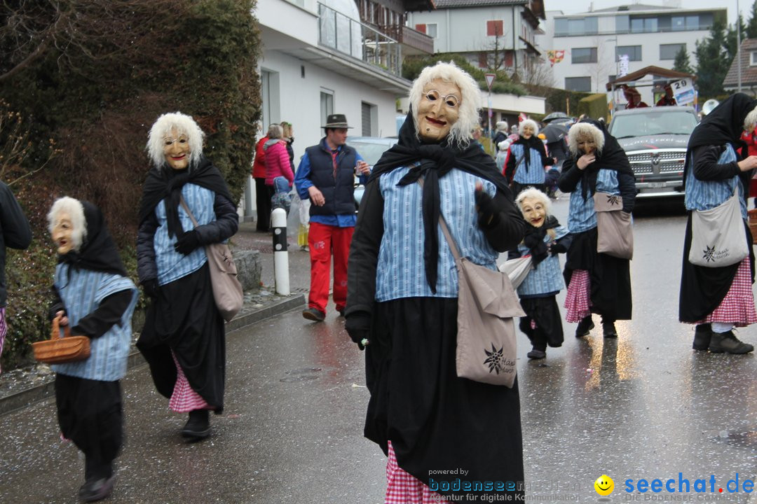 Bezirksumzug - Feusisberg - Schweiz, 02.02.2020