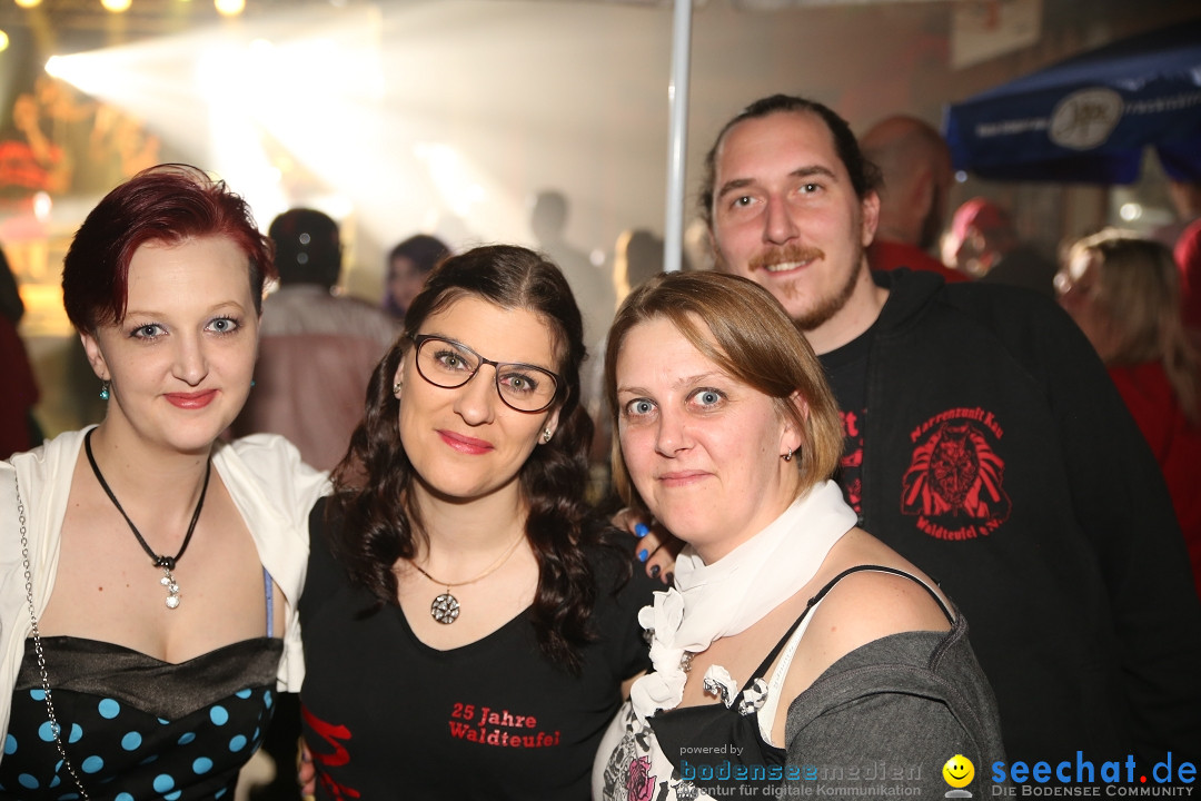 Zunftball Waldteufel mit Band Fly: Kau, 07.02.2020