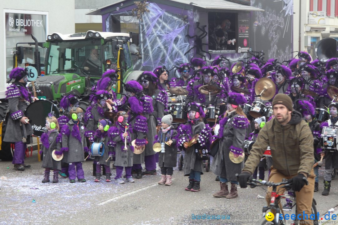 Fasnachtsumzug - Romanshorn am Bodensee - Schweiz, 16.02.2020