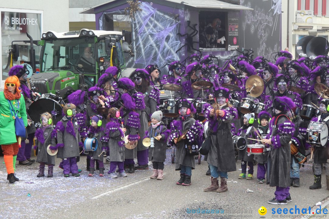 Fasnachtsumzug - Romanshorn am Bodensee - Schweiz, 16.02.2020