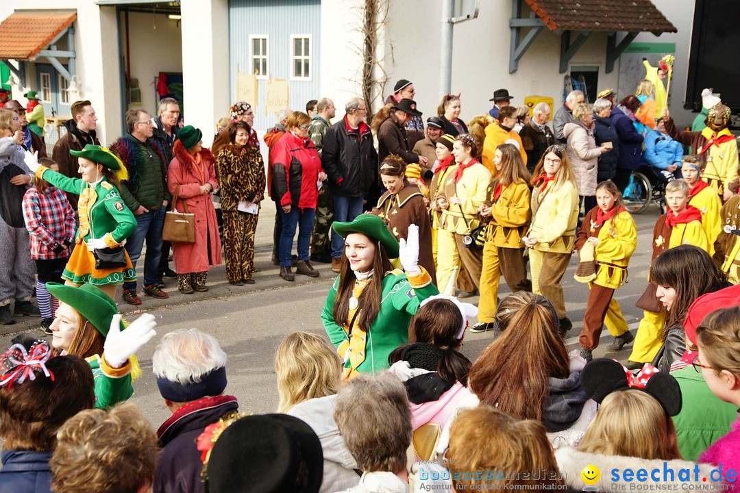 Jubilaeumsumzug - Kuh-Muh: Liggersdorf - Bodensee, 16.02.2020