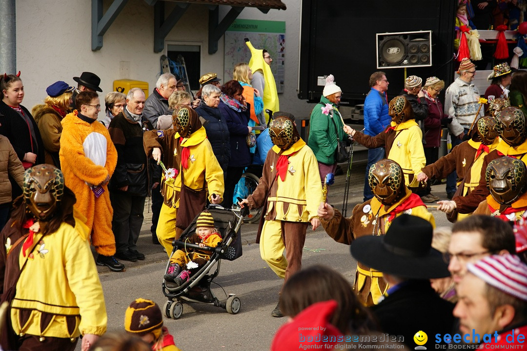 Jubilaeumsumzug - Kuh-Muh: Liggersdorf - Bodensee, 16.02.2020