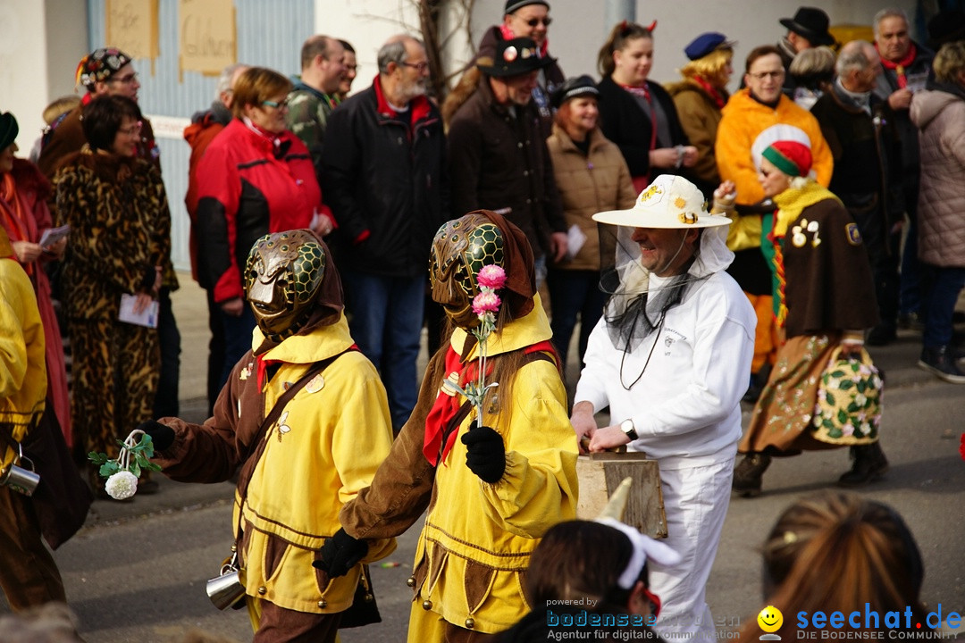 Jubilaeumsumzug - Kuh-Muh: Liggersdorf - Bodensee, 16.02.2020