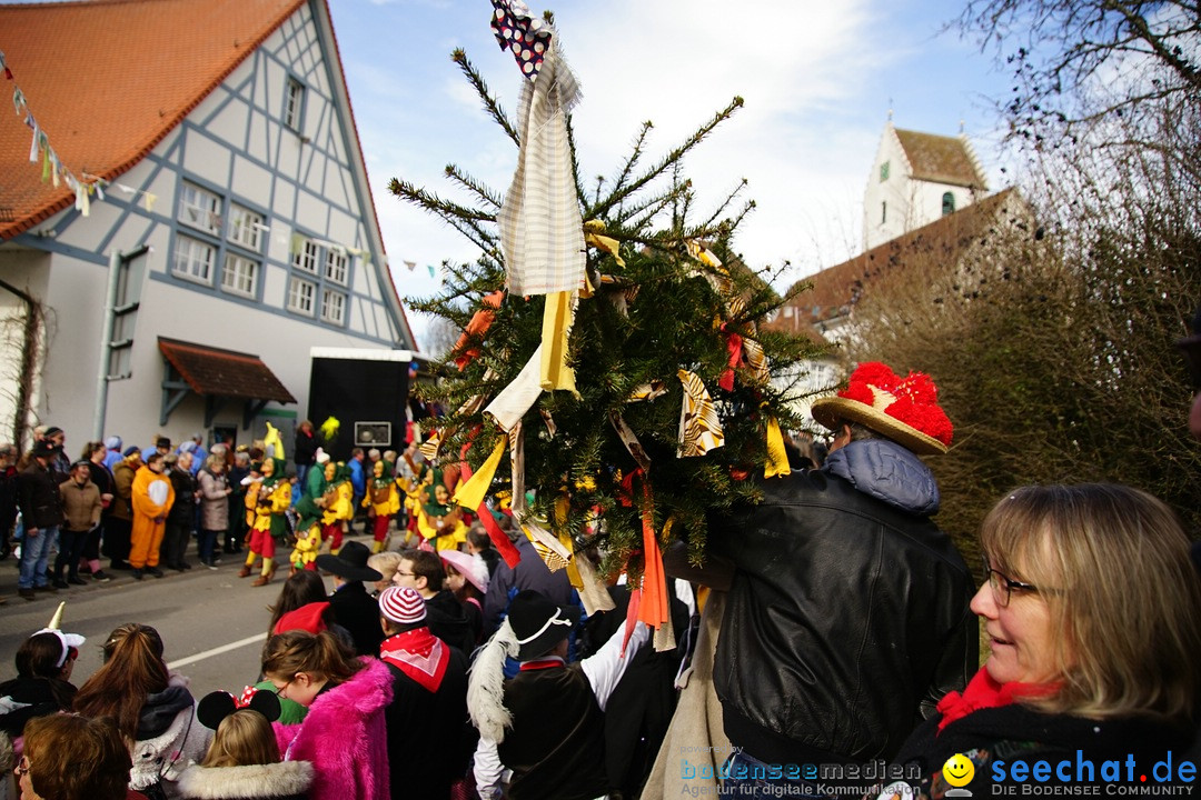 Jubilaeumsumzug - Kuh-Muh: Liggersdorf - Bodensee, 16.02.2020