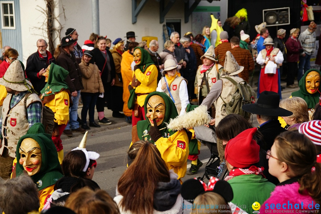 Jubilaeumsumzug - Kuh-Muh: Liggersdorf - Bodensee, 16.02.2020