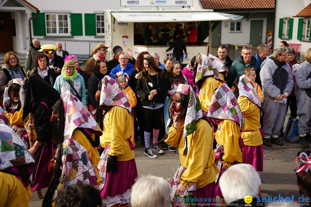 Jubilaeumsumzug - Kuh-Muh: Liggersdorf - Bodensee, 16.02.2020