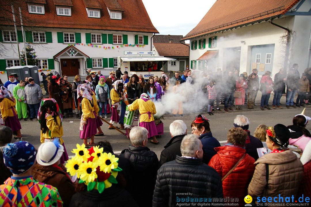 Jubilaeumsumzug - Kuh-Muh: Liggersdorf - Bodensee, 16.02.2020