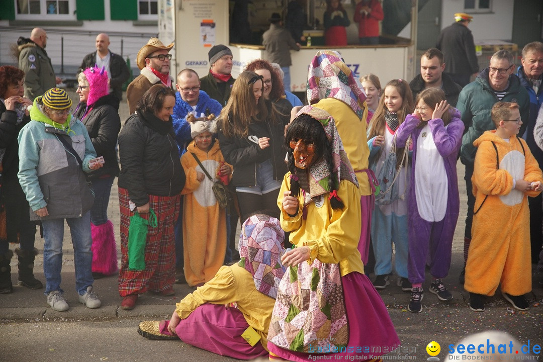 Jubilaeumsumzug - Kuh-Muh: Liggersdorf - Bodensee, 16.02.2020