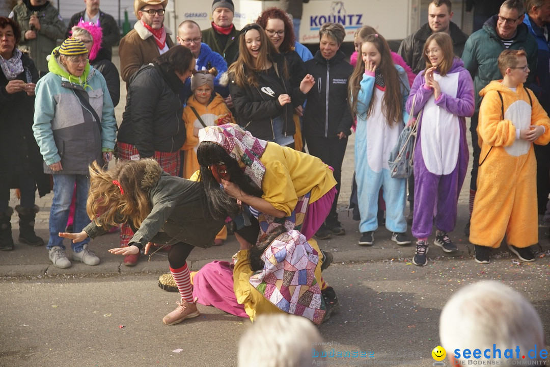 Jubilaeumsumzug - Kuh-Muh: Liggersdorf - Bodensee, 16.02.2020