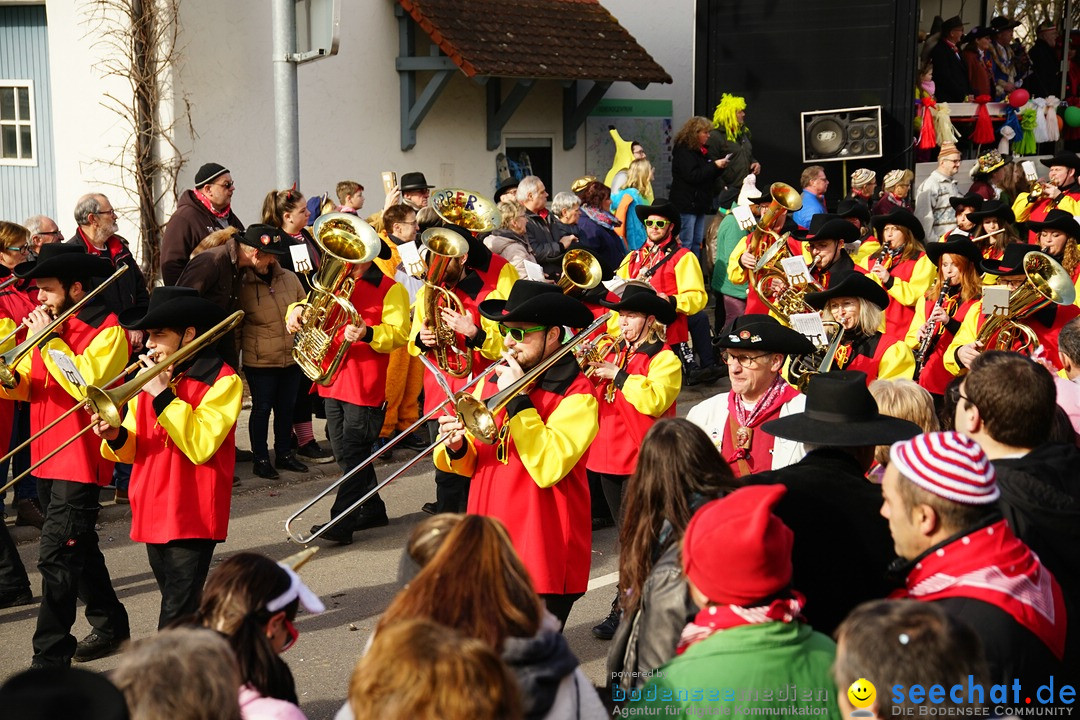 Jubilaeumsumzug - Kuh-Muh: Liggersdorf - Bodensee, 16.02.2020