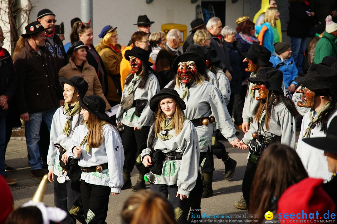 Jubilaeumsumzug - Kuh-Muh: Liggersdorf - Bodensee, 16.02.2020