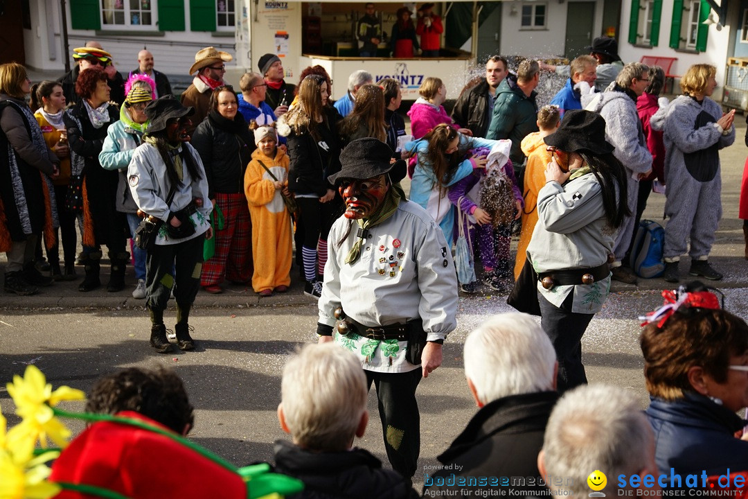 Jubilaeumsumzug - Kuh-Muh: Liggersdorf - Bodensee, 16.02.2020