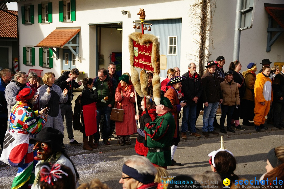 Jubilaeumsumzug - Kuh-Muh: Liggersdorf - Bodensee, 16.02.2020