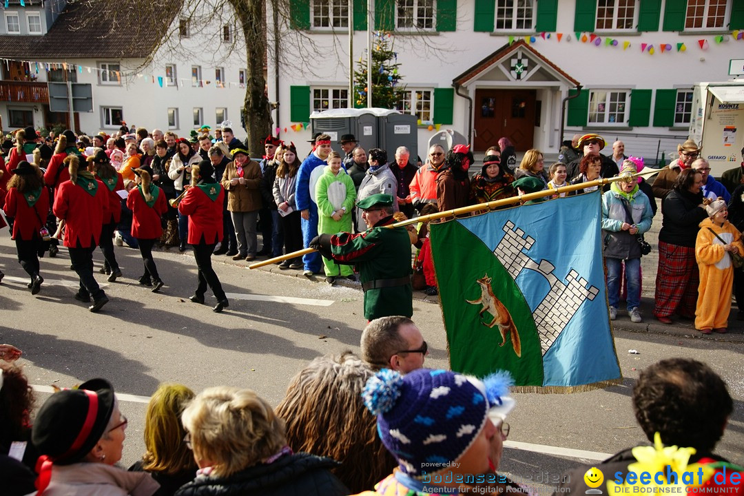 Jubilaeumsumzug - Kuh-Muh: Liggersdorf - Bodensee, 16.02.2020