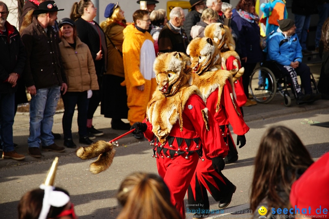 Jubilaeumsumzug - Kuh-Muh: Liggersdorf - Bodensee, 16.02.2020