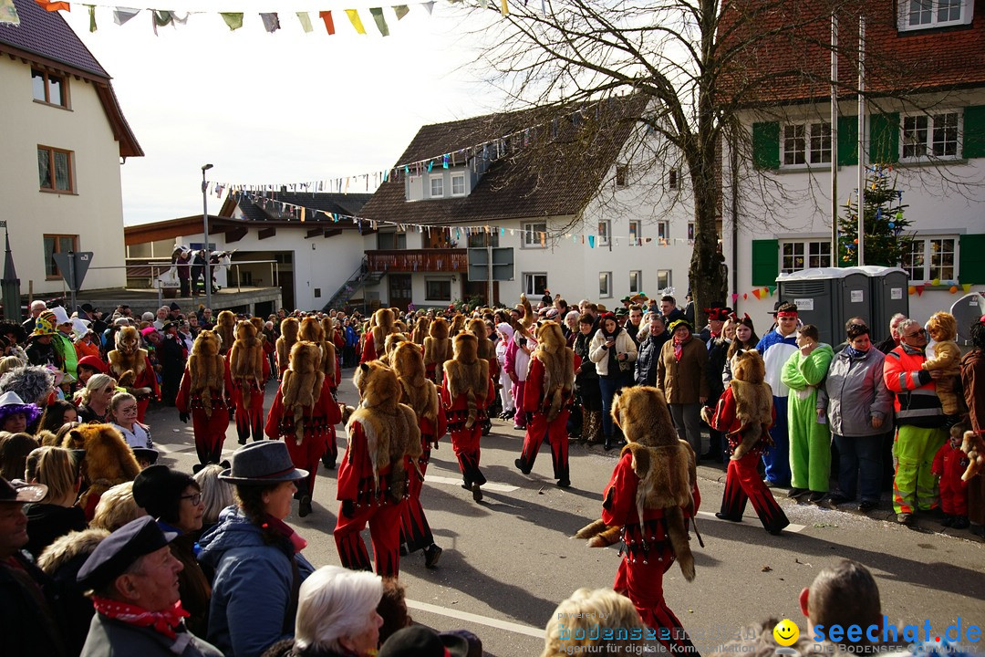 Jubilaeumsumzug - Kuh-Muh: Liggersdorf - Bodensee, 16.02.2020