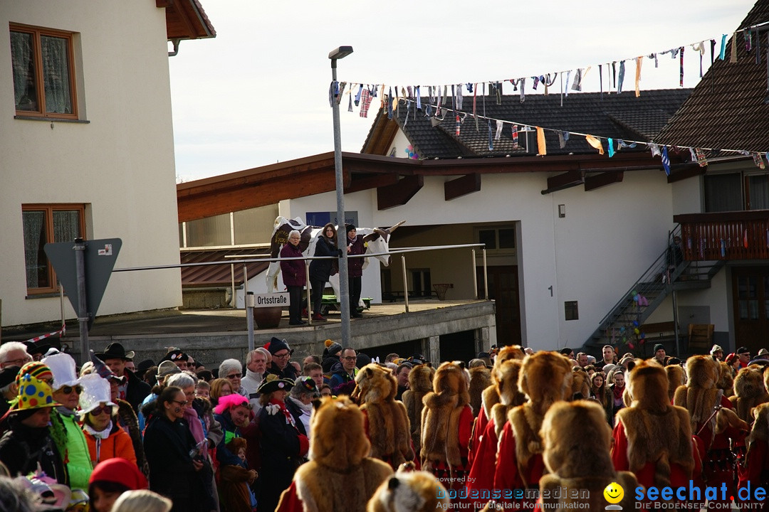 Jubilaeumsumzug - Kuh-Muh: Liggersdorf - Bodensee, 16.02.2020