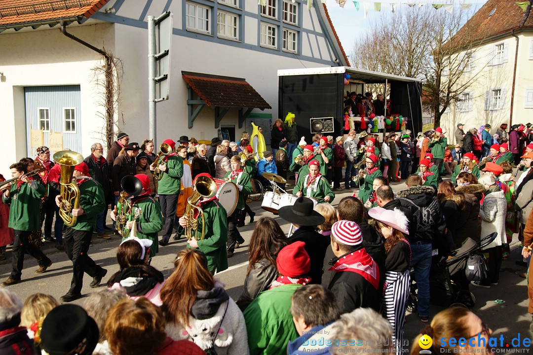 Jubilaeumsumzug - Kuh-Muh: Liggersdorf - Bodensee, 16.02.2020