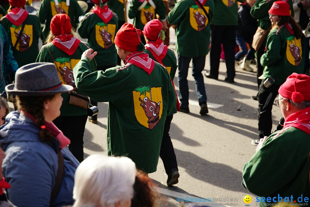 Jubilaeumsumzug - Kuh-Muh: Liggersdorf - Bodensee, 16.02.2020