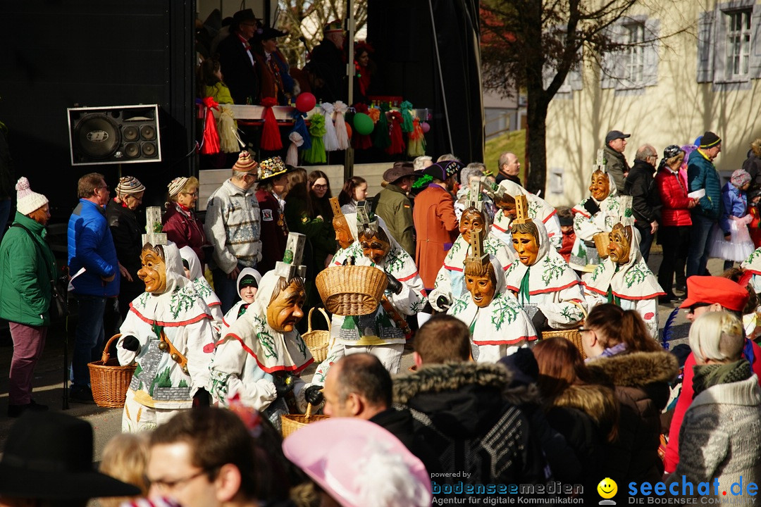 Jubilaeumsumzug - Kuh-Muh: Liggersdorf - Bodensee, 16.02.2020