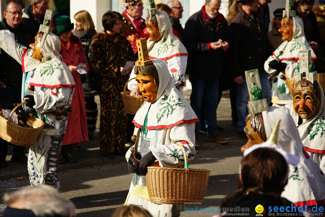 Jubilaeumsumzug - Kuh-Muh: Liggersdorf - Bodensee, 16.02.2020