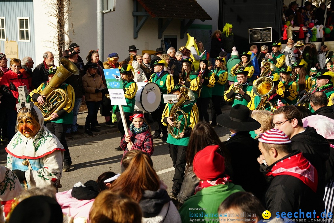 Jubilaeumsumzug - Kuh-Muh: Liggersdorf - Bodensee, 16.02.2020