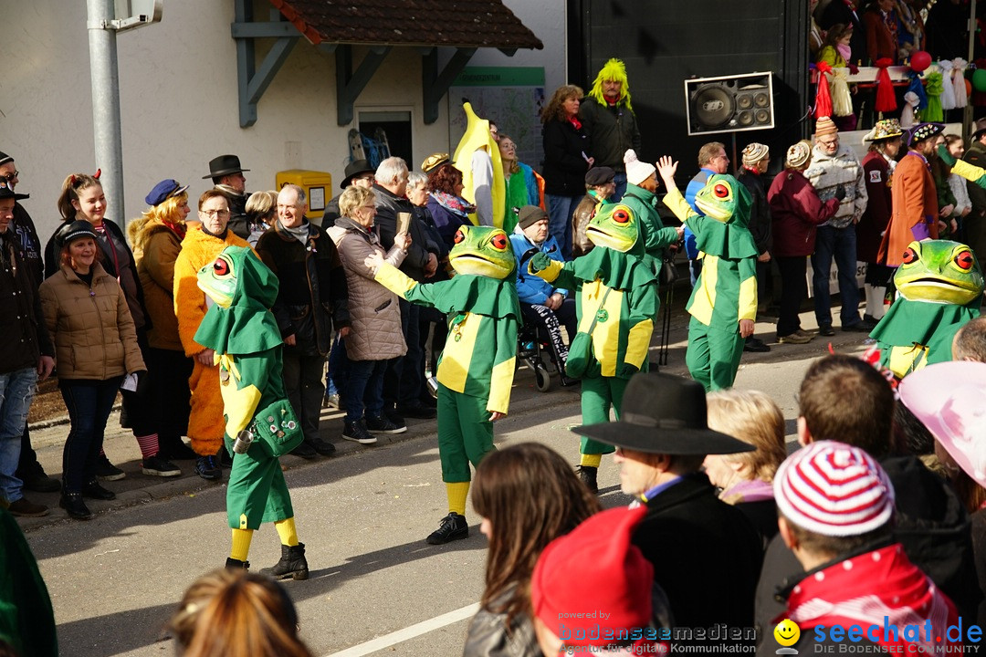 Jubilaeumsumzug - Kuh-Muh: Liggersdorf - Bodensee, 16.02.2020