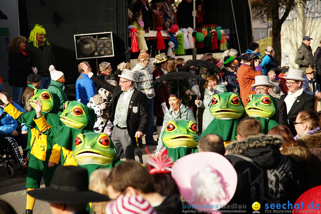 Jubilaeumsumzug - Kuh-Muh: Liggersdorf - Bodensee, 16.02.2020