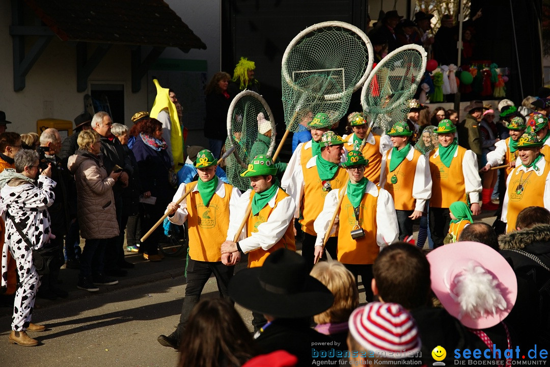 Jubilaeumsumzug - Kuh-Muh: Liggersdorf - Bodensee, 16.02.2020