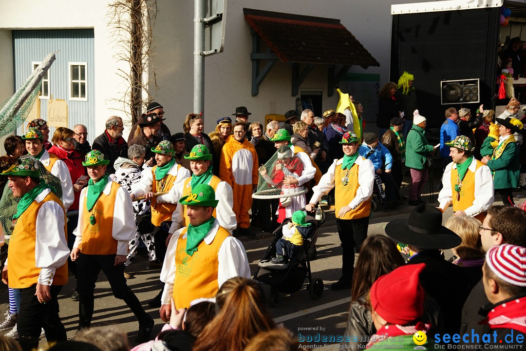 Jubilaeumsumzug - Kuh-Muh: Liggersdorf - Bodensee, 16.02.2020