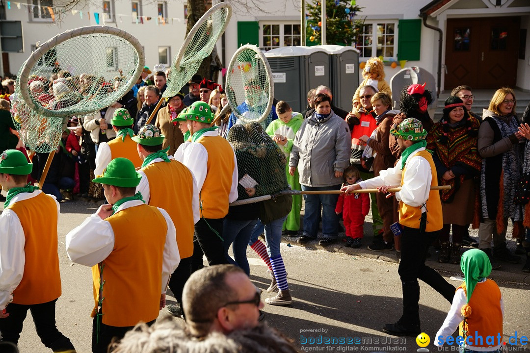 Jubilaeumsumzug - Kuh-Muh: Liggersdorf - Bodensee, 16.02.2020