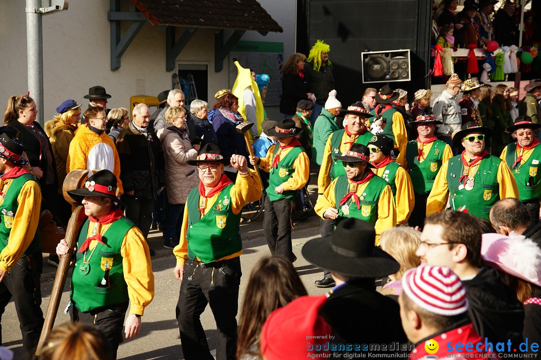 Jubilaeumsumzug - Kuh-Muh: Liggersdorf - Bodensee, 16.02.2020