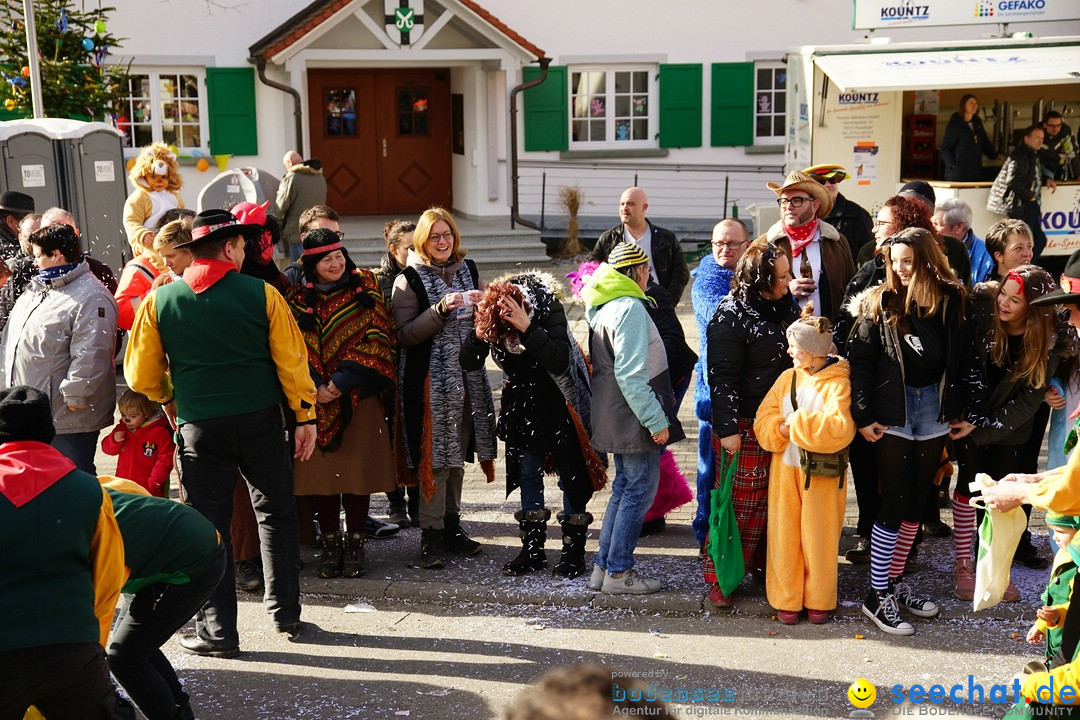 Jubilaeumsumzug - Kuh-Muh: Liggersdorf - Bodensee, 16.02.2020