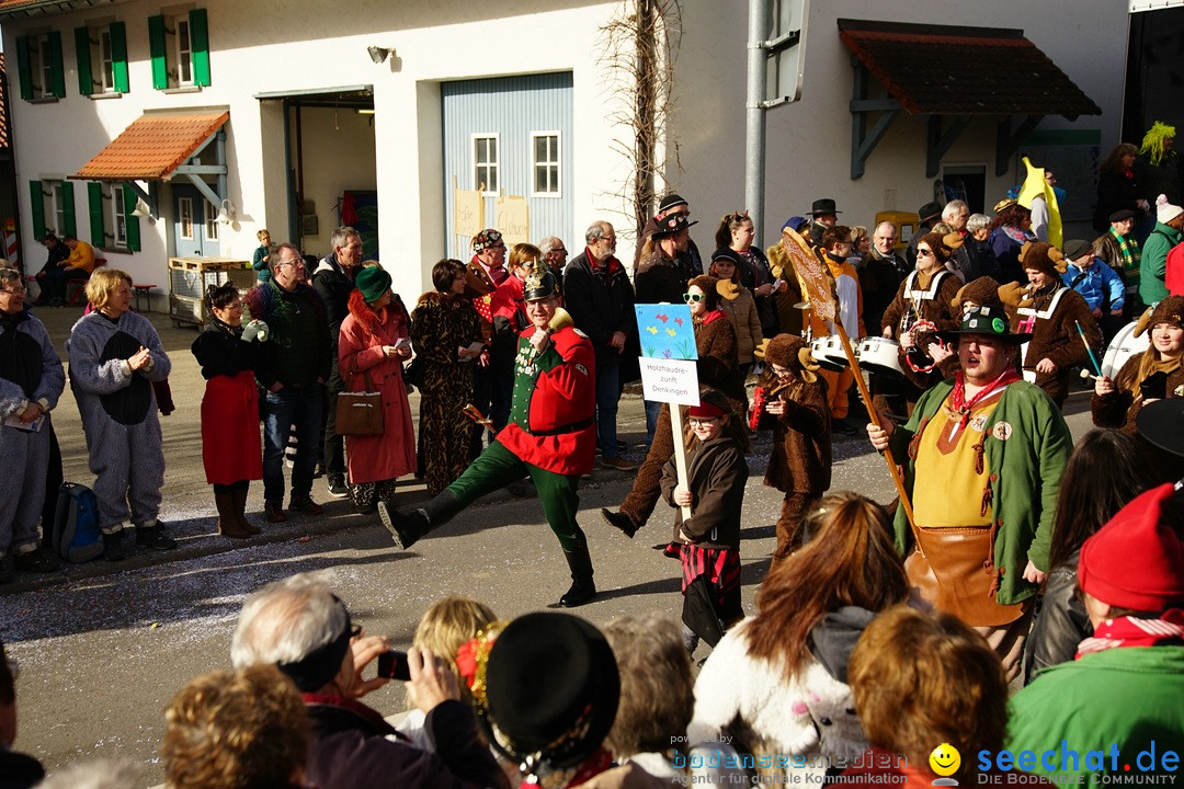 Jubilaeumsumzug - Kuh-Muh: Liggersdorf - Bodensee, 16.02.2020