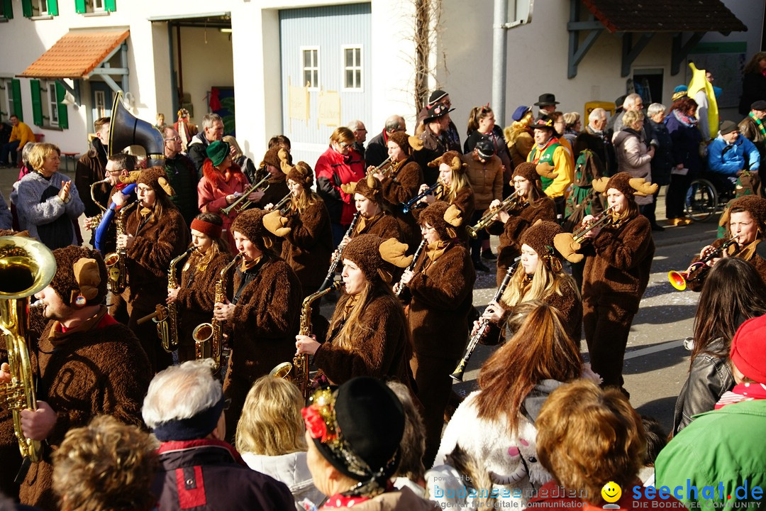 Jubilaeumsumzug - Kuh-Muh: Liggersdorf - Bodensee, 16.02.2020