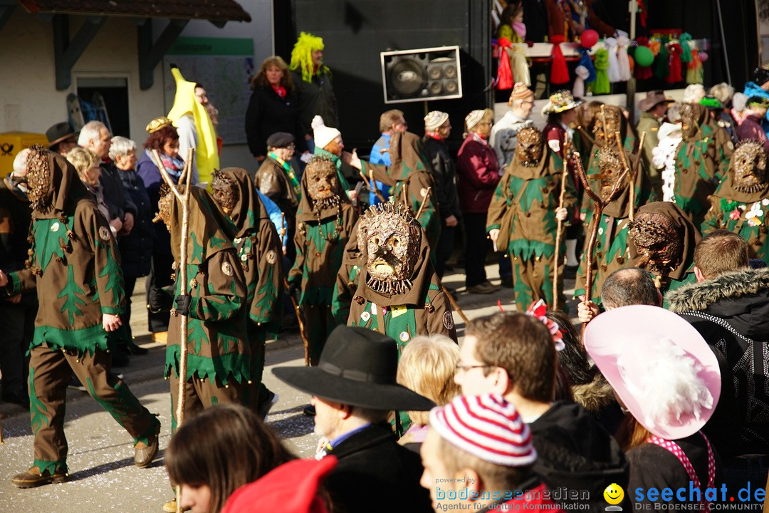 Jubilaeumsumzug - Kuh-Muh: Liggersdorf - Bodensee, 16.02.2020