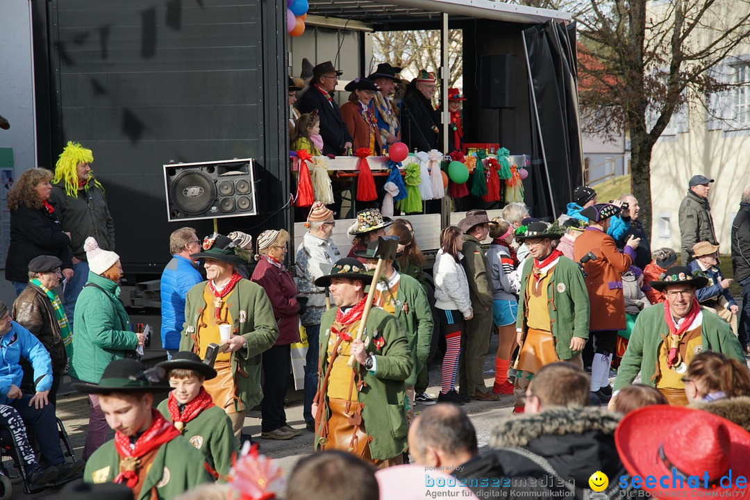 Jubilaeumsumzug - Kuh-Muh: Liggersdorf - Bodensee, 16.02.2020