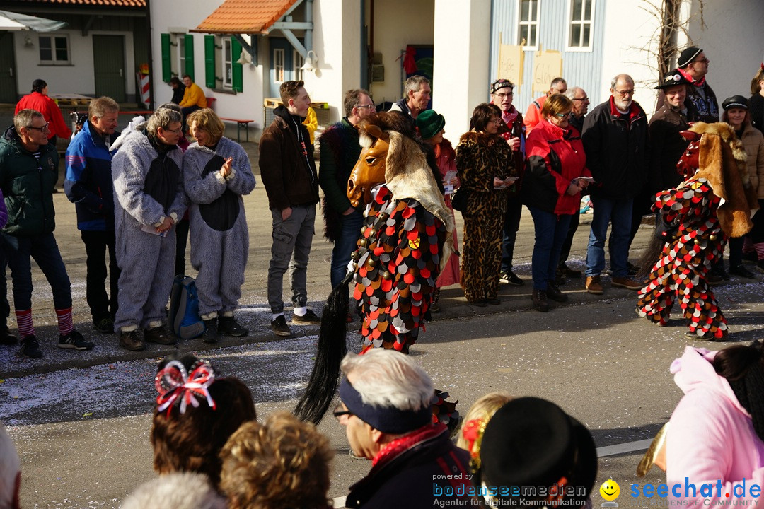 Jubilaeumsumzug - Kuh-Muh: Liggersdorf - Bodensee, 16.02.2020