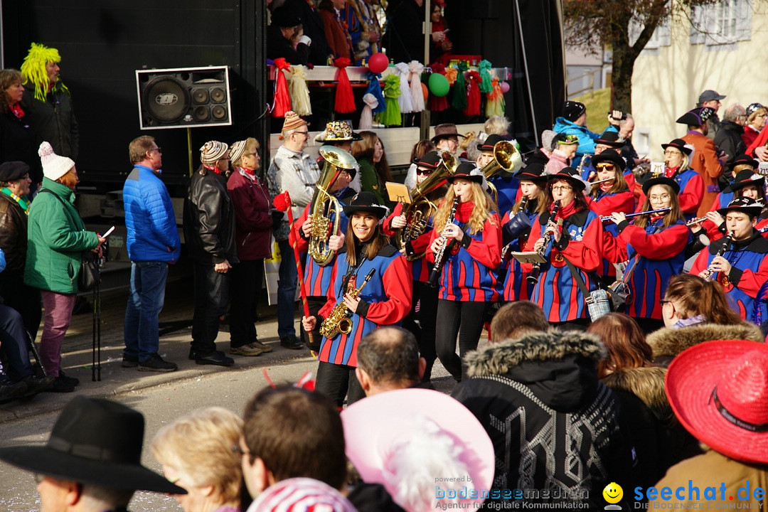 Jubilaeumsumzug - Kuh-Muh: Liggersdorf - Bodensee, 16.02.2020