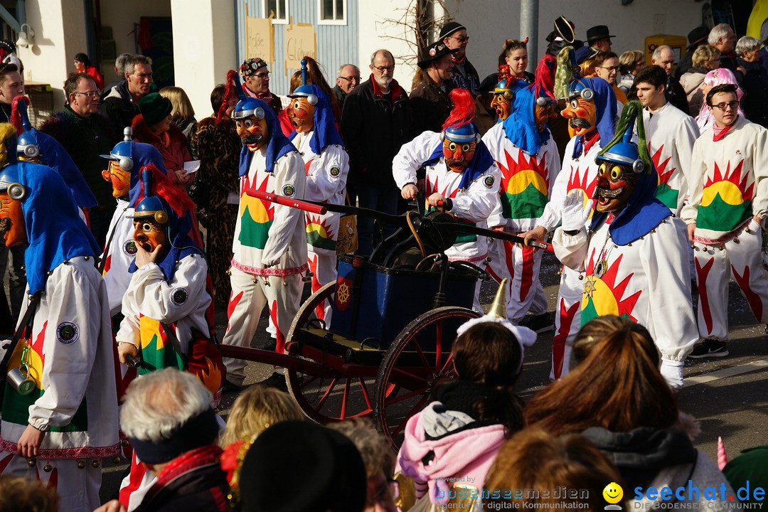 Jubilaeumsumzug - Kuh-Muh: Liggersdorf - Bodensee, 16.02.2020