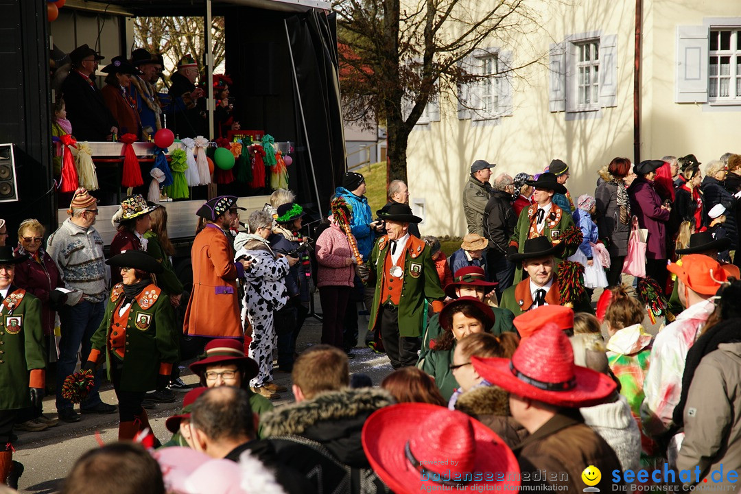 Jubilaeumsumzug - Kuh-Muh: Liggersdorf - Bodensee, 16.02.2020