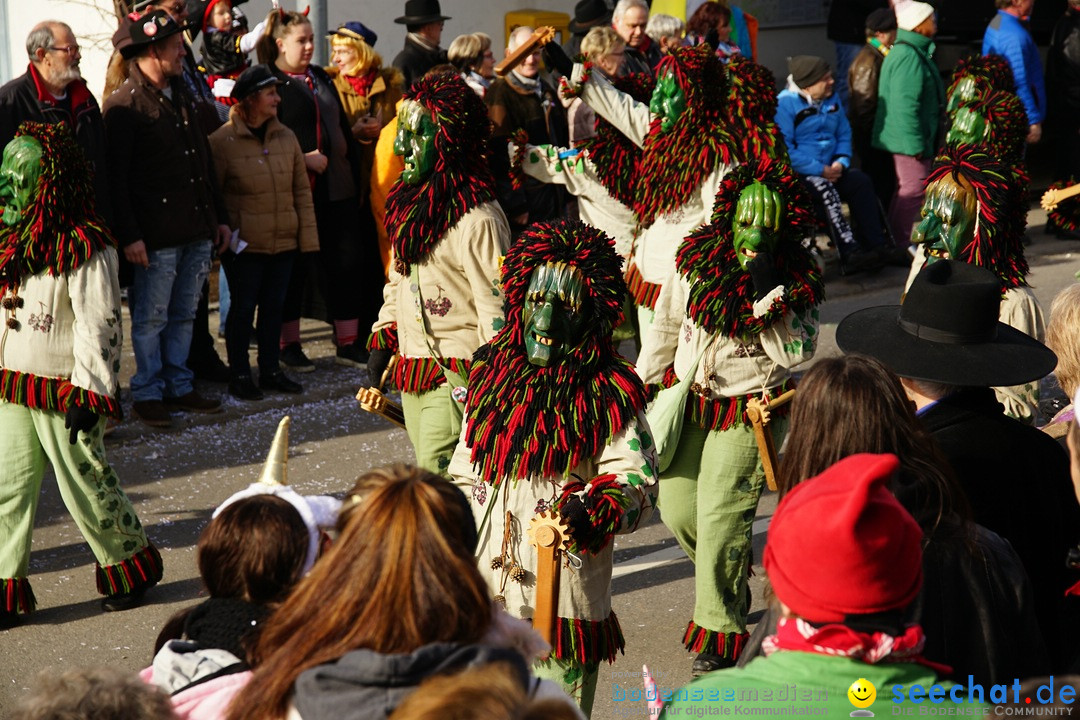 Jubilaeumsumzug - Kuh-Muh: Liggersdorf - Bodensee, 16.02.2020