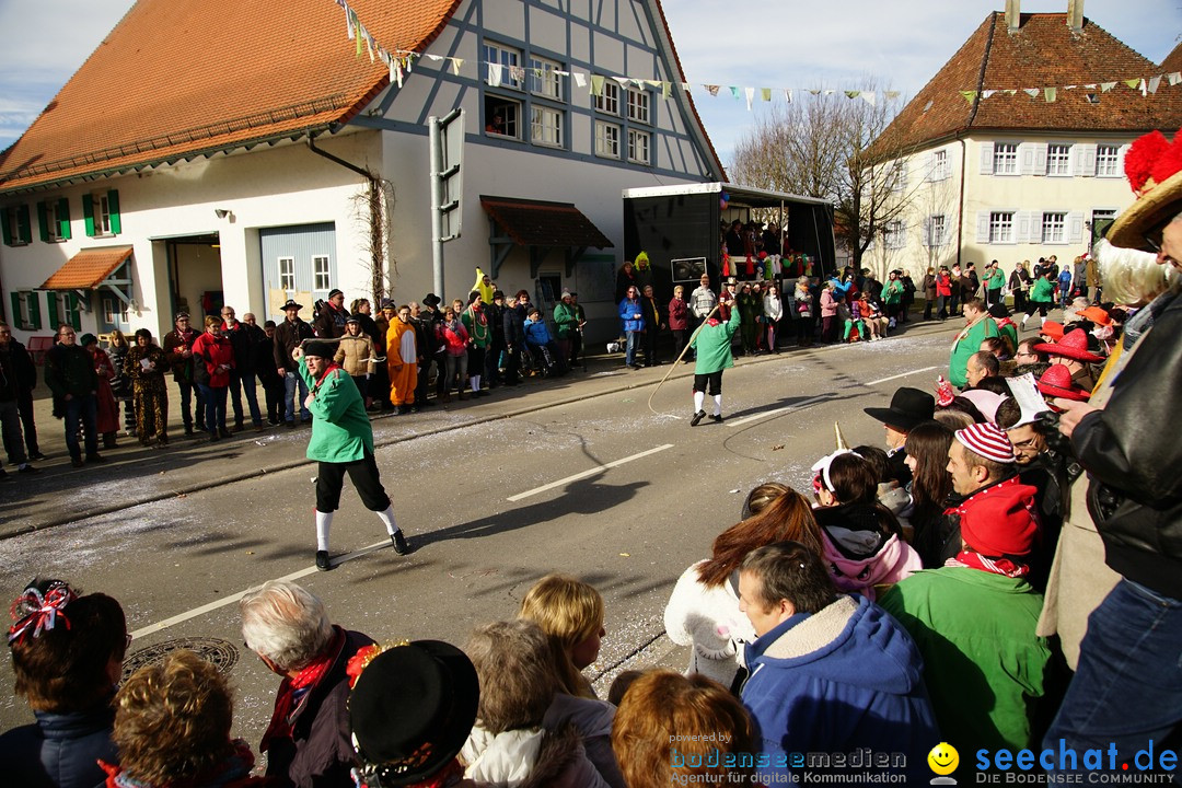 Jubilaeumsumzug - Kuh-Muh: Liggersdorf - Bodensee, 16.02.2020