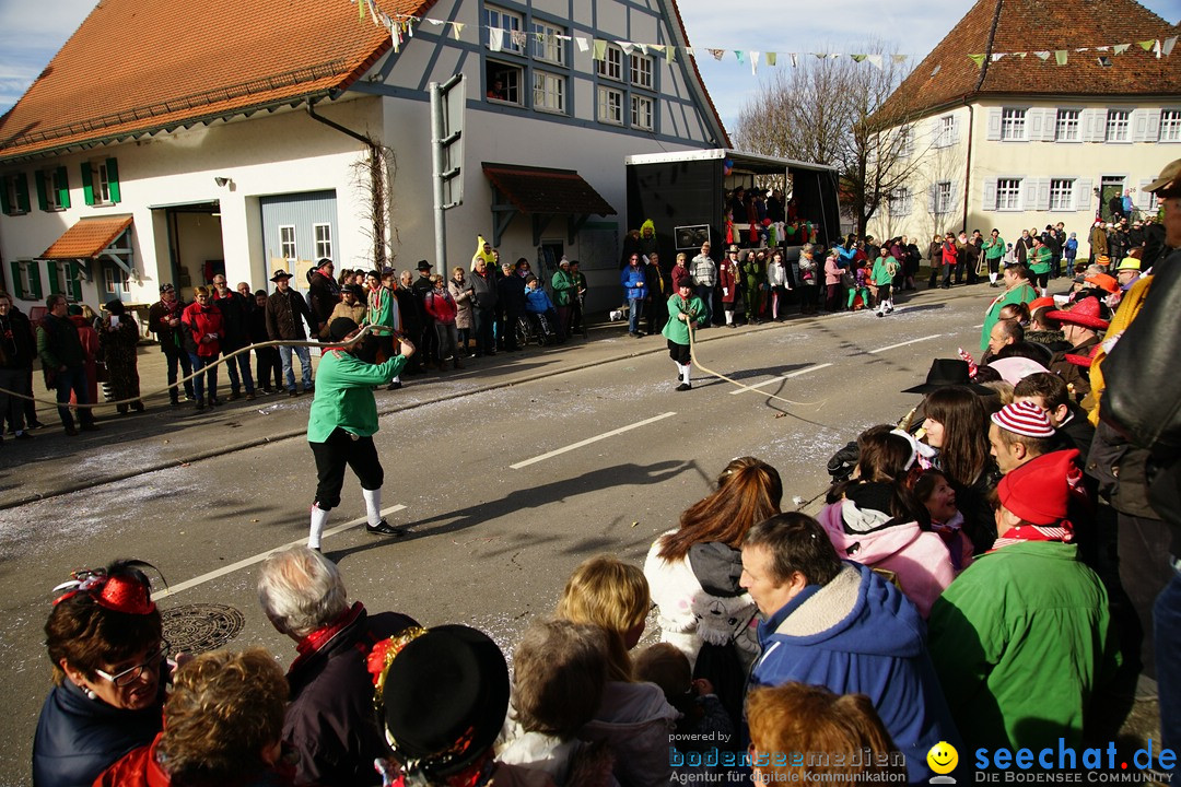 Jubilaeumsumzug - Kuh-Muh: Liggersdorf - Bodensee, 16.02.2020