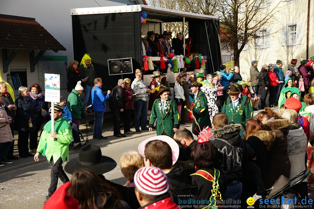 Jubilaeumsumzug - Kuh-Muh: Liggersdorf - Bodensee, 16.02.2020